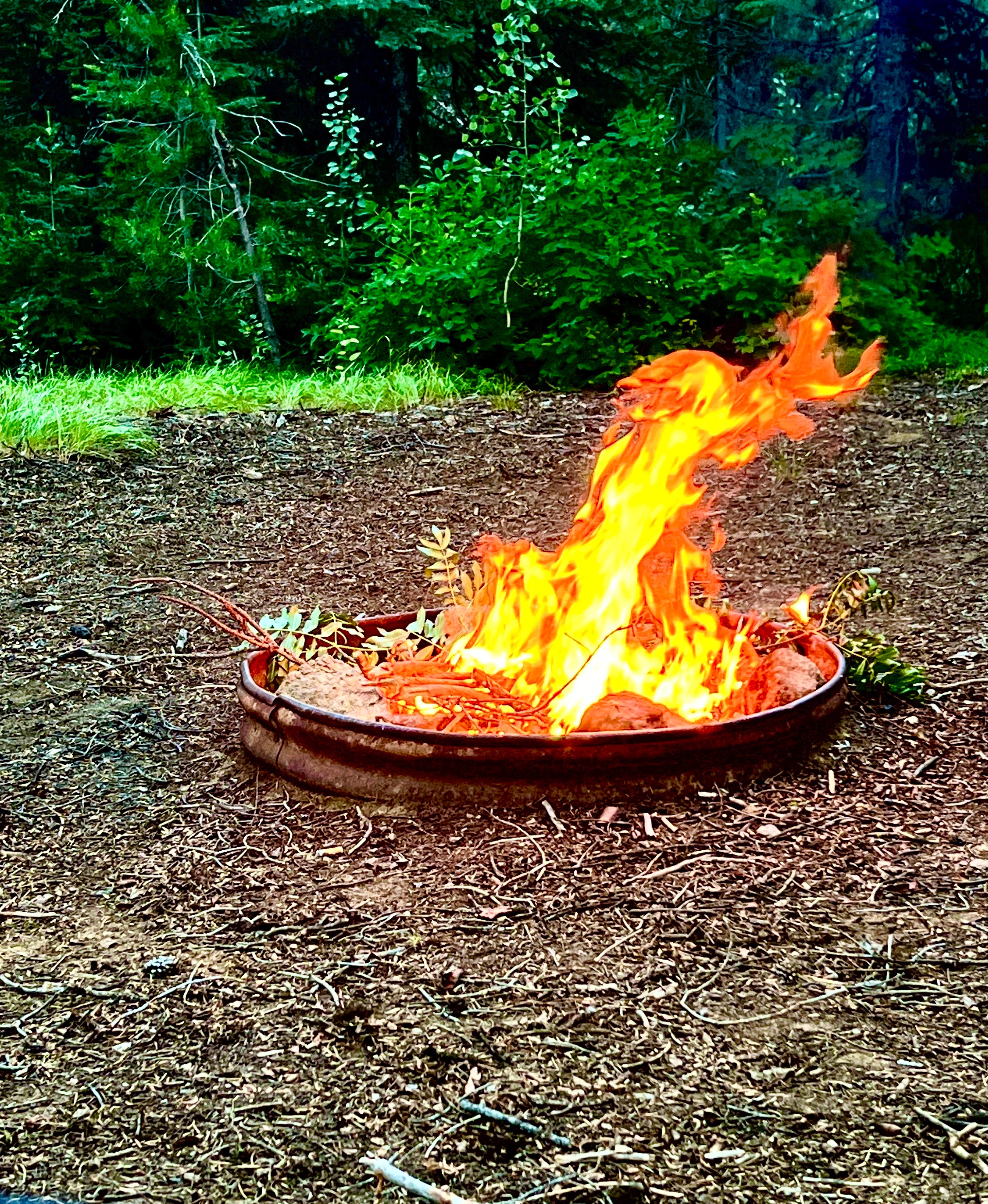 Camping near Lake Louie Dispersed Camping: Rapid Creek Dispersed Camping Area, Spink, Idaho
