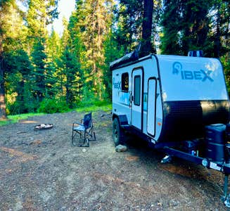 Camper-submitted photo from Rapid Creek Dispersed Camping Area