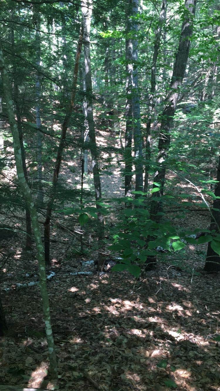 Camper submitted image from Spacious Skies Seven Maples - 4
