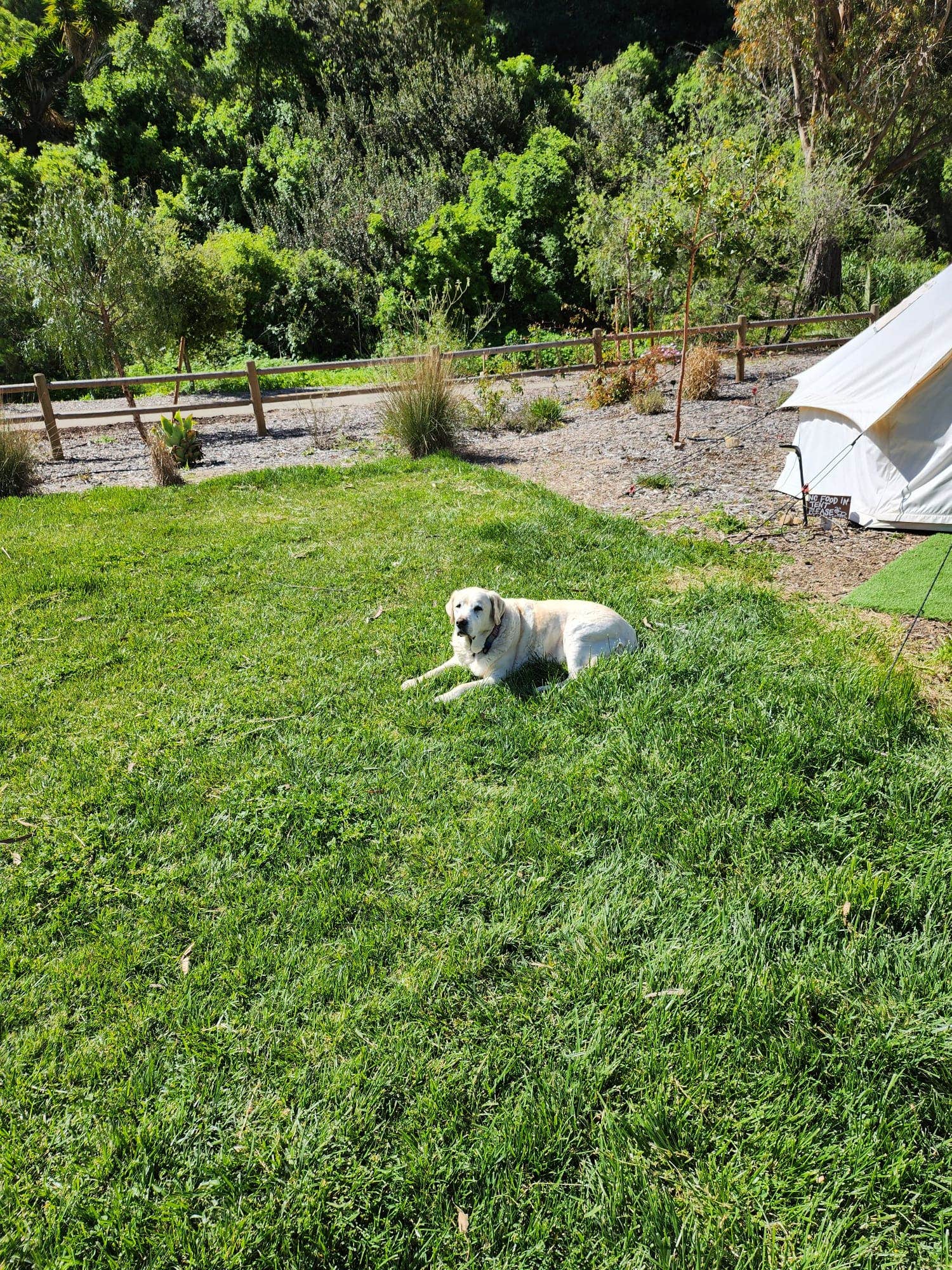 Stephen R.'s photo of camping with pets at Radl Ranch - PERMANENTLY CLOSED near Santa Barbara, CA