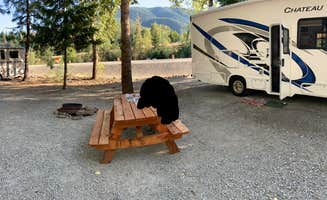 Jennifer H.'s photo of camping with pets at Crystal Gold Mine near Kellogg, ID