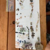 Review photo of Crystal Gold Mine by Jennifer H., August 13, 2023