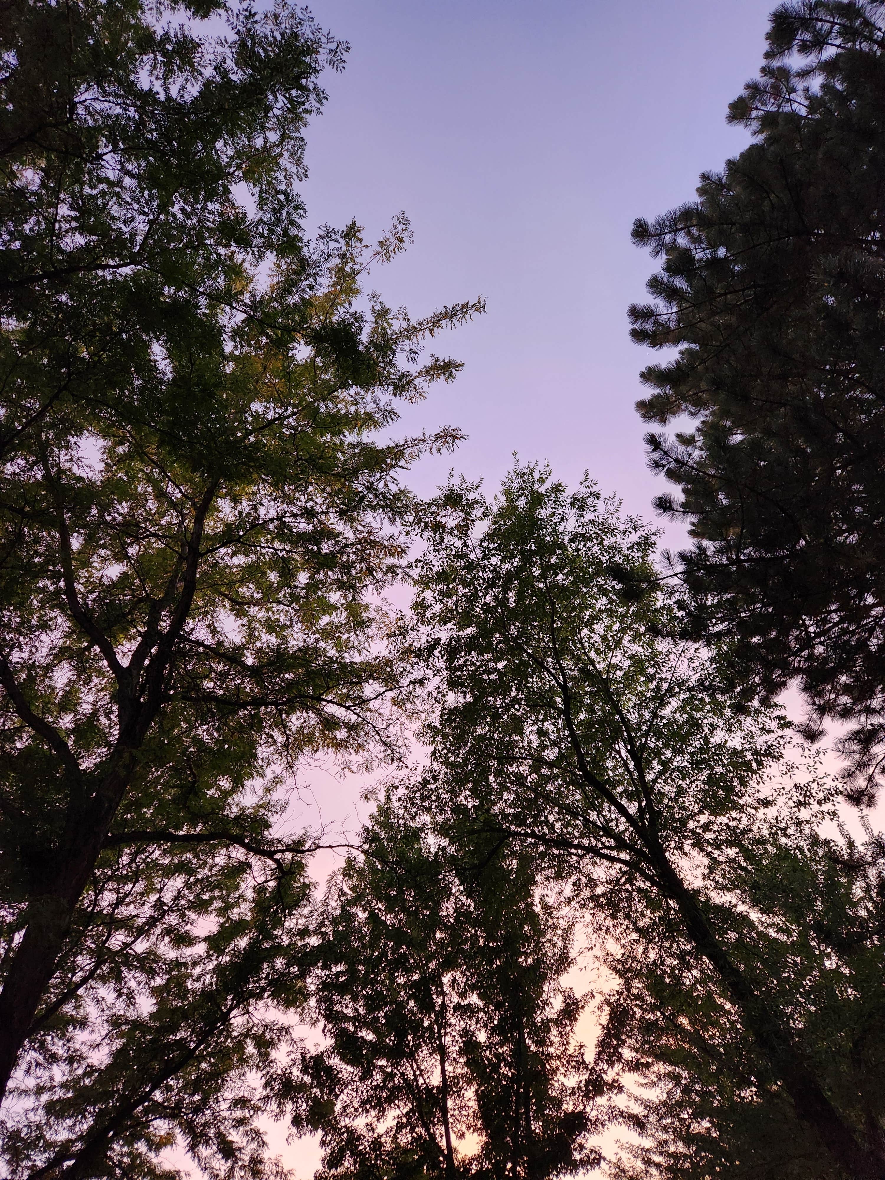 Camper-submitted photo at Boyer Park & Marina KOA near Steptoe, WA