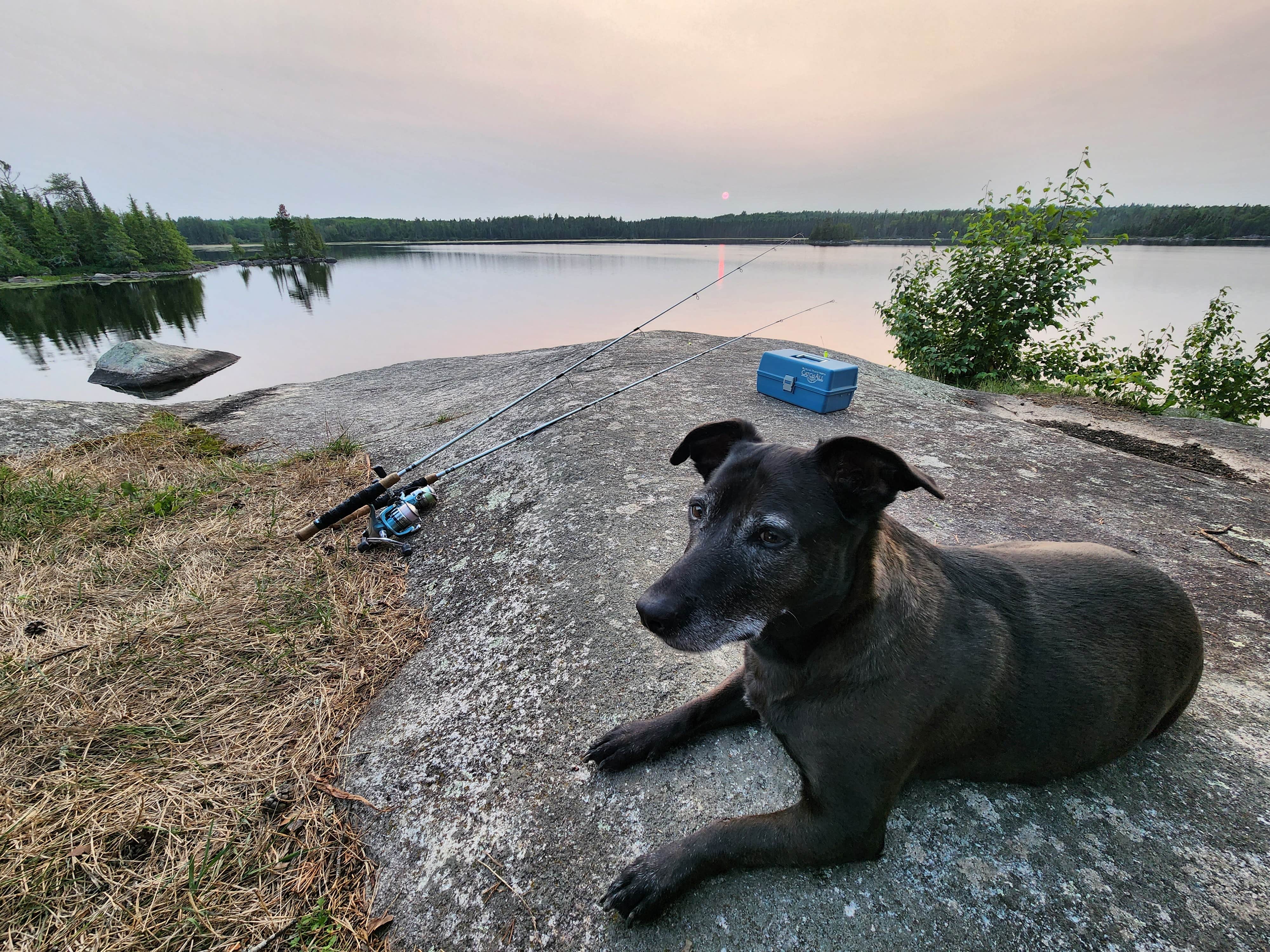 Jill G.'s photo of camping with pets at Lake Jeanette Campground & Backcountry Sites near Virginia, MN