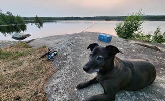 Jill G.'s photo of camping with pets at Lake Jeanette Campground & Backcountry Sites near Superior National Forest
