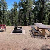 Review photo of Mueller State Park Campground by john W., August 13, 2023