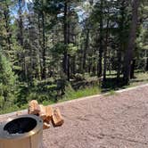 Review photo of Mueller State Park Campground by john W., August 13, 2023