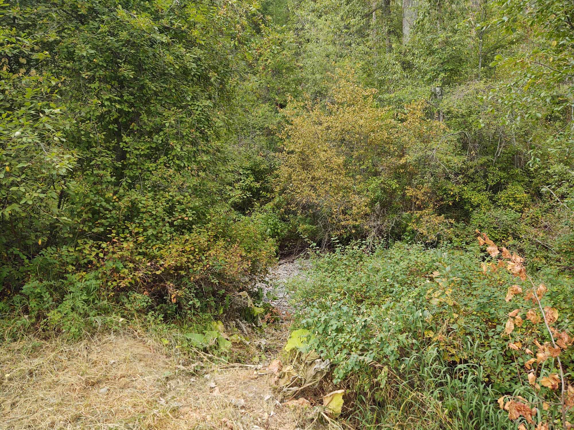 Camping near Hook-U-up RV Park: Dunn Creek Flats Campground, Blue Springs Lake, Montana