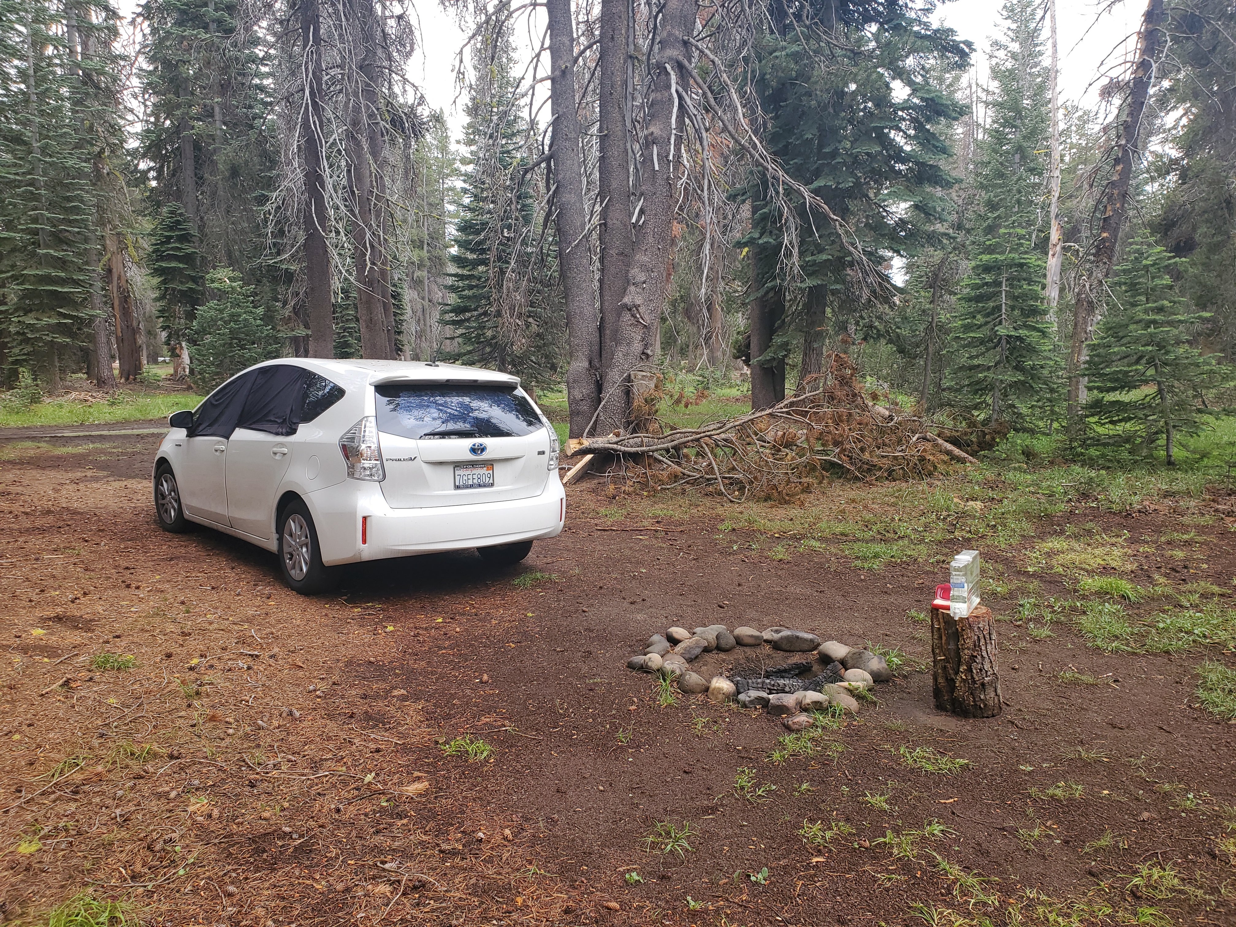 Camper submitted image from Bear Valley Dispersed Camping - 1
