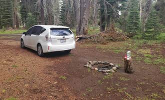 Camping near (lake Alpine) Lodgepole Campground: Bear Valley Dispersed Camping, Bear Valley, California