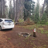 Review photo of Bear Valley Dispersed Camping by Serena W., August 13, 2023