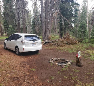 Camper-submitted photo from Bear Valley Dispersed Camping