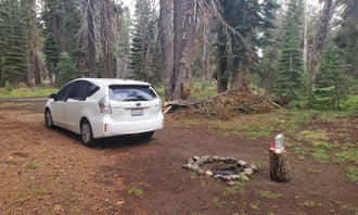 Camping near Lodgepole Overflow & Group Campground: Bear Valley Dispersed Camping, Bear Valley, California