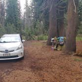 Review photo of Bear Valley Dispersed Camping by Serena W., August 13, 2023