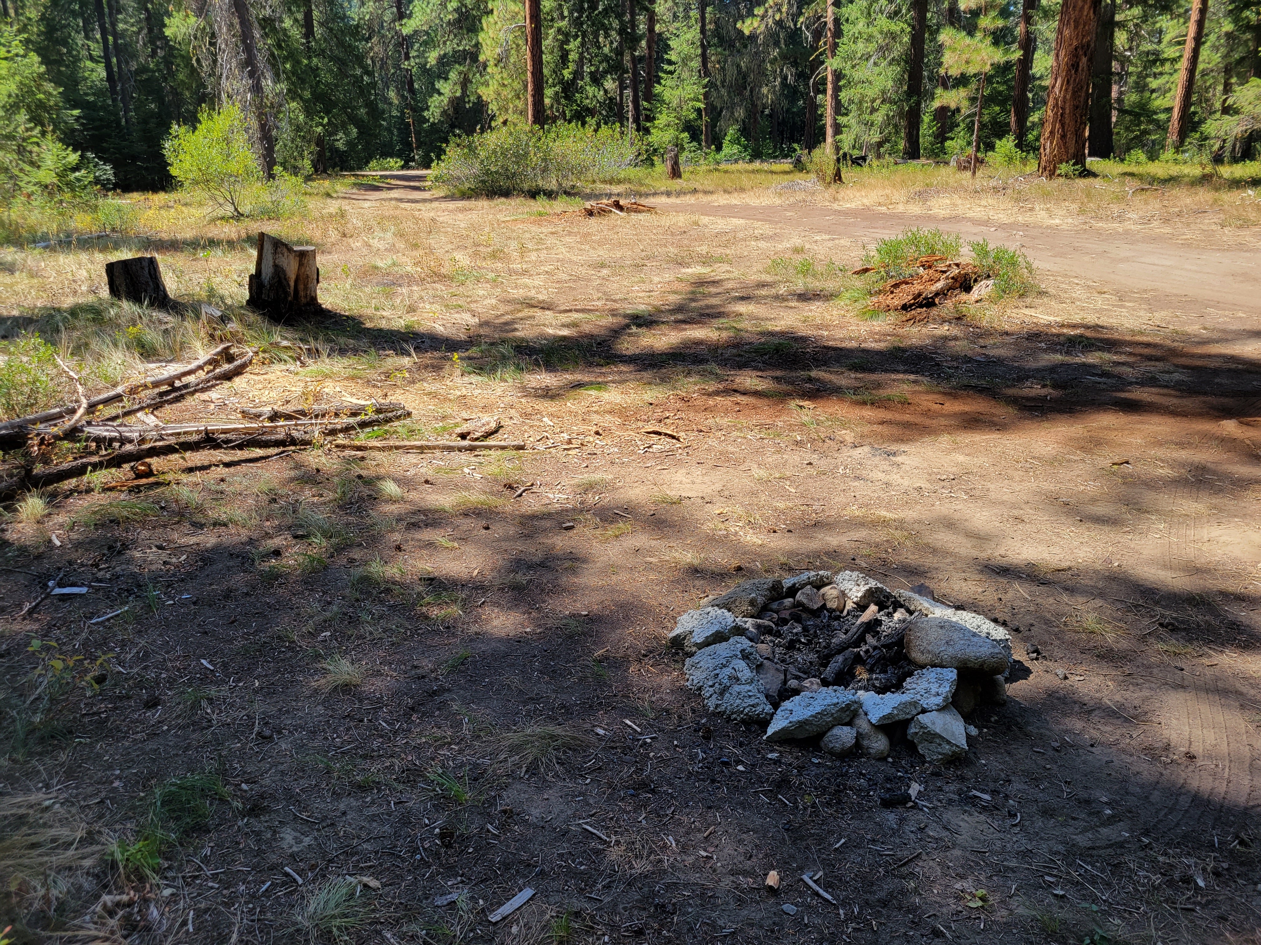 Camper submitted image from Forest Road Dispersed Site - 2