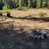 Review photo of Forest Road Dispersed Site by Jake S., August 13, 2023