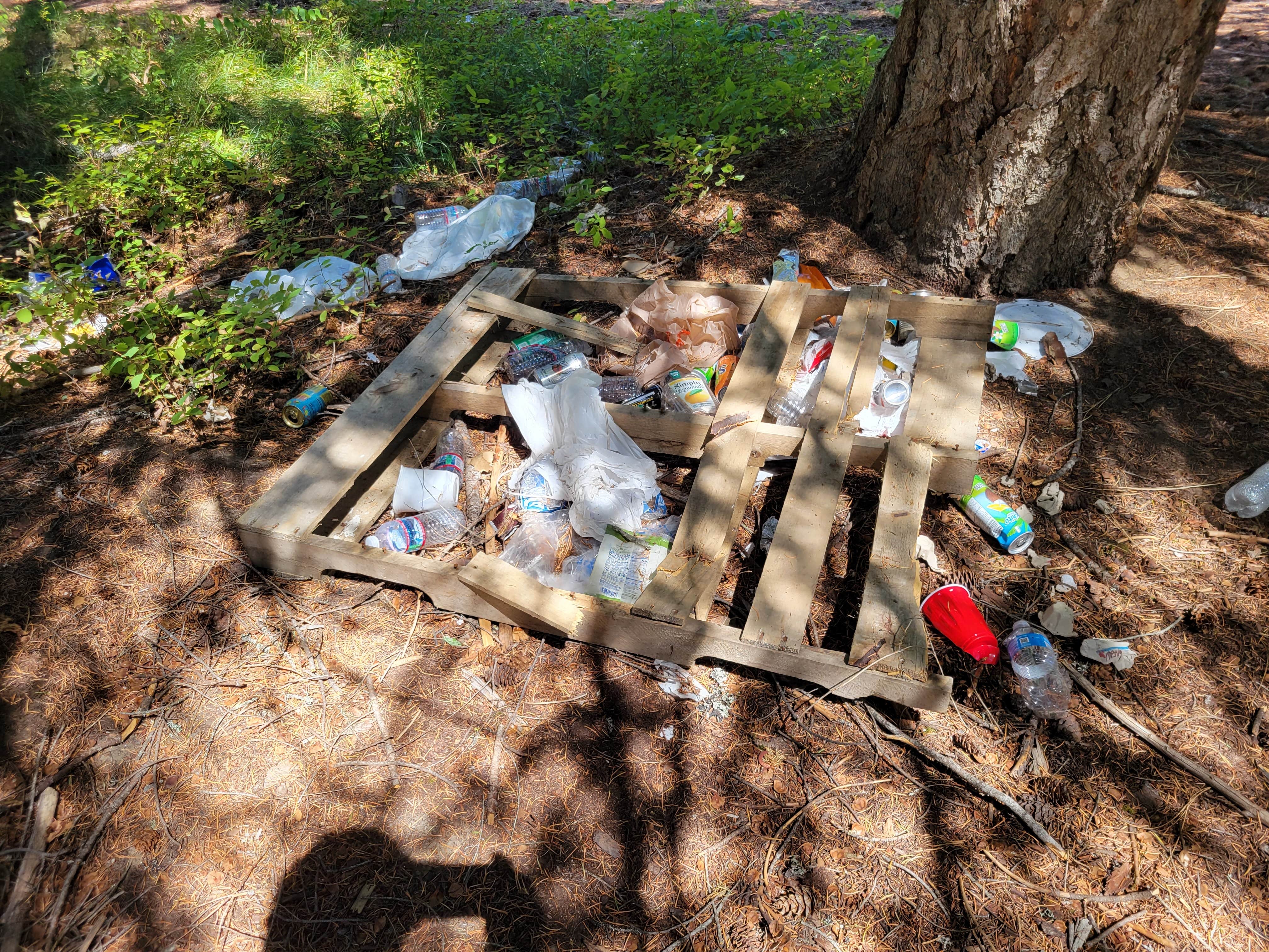 Camper-submitted photo at Forest Road Dispersed Site near Entiat, WA