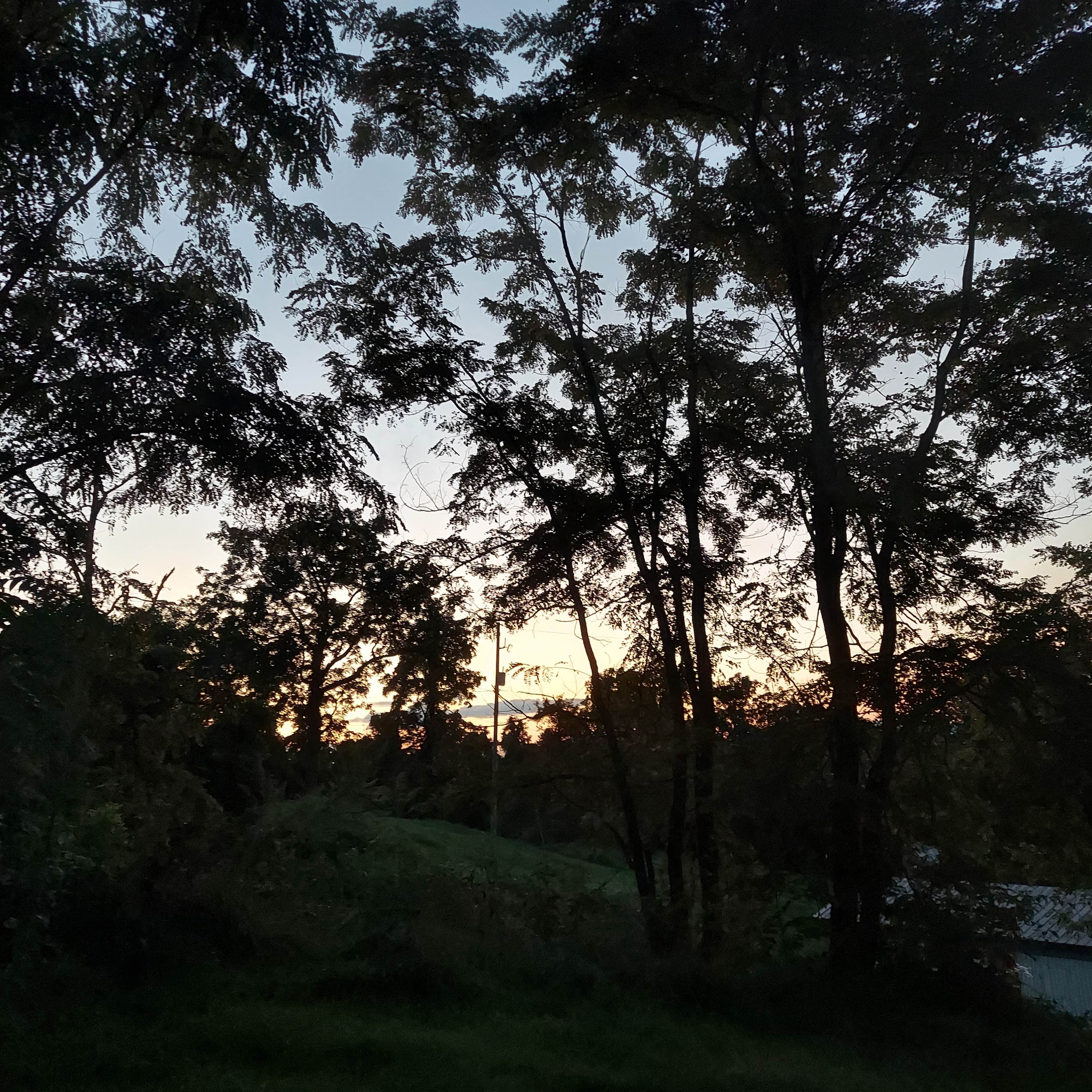 Camping near Lonesome Pines Cabins: Love, Wings, Roots, Chilhowie, Virginia