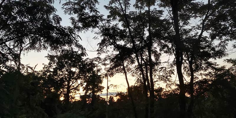 Camper submitted image from Love, Wings, Roots