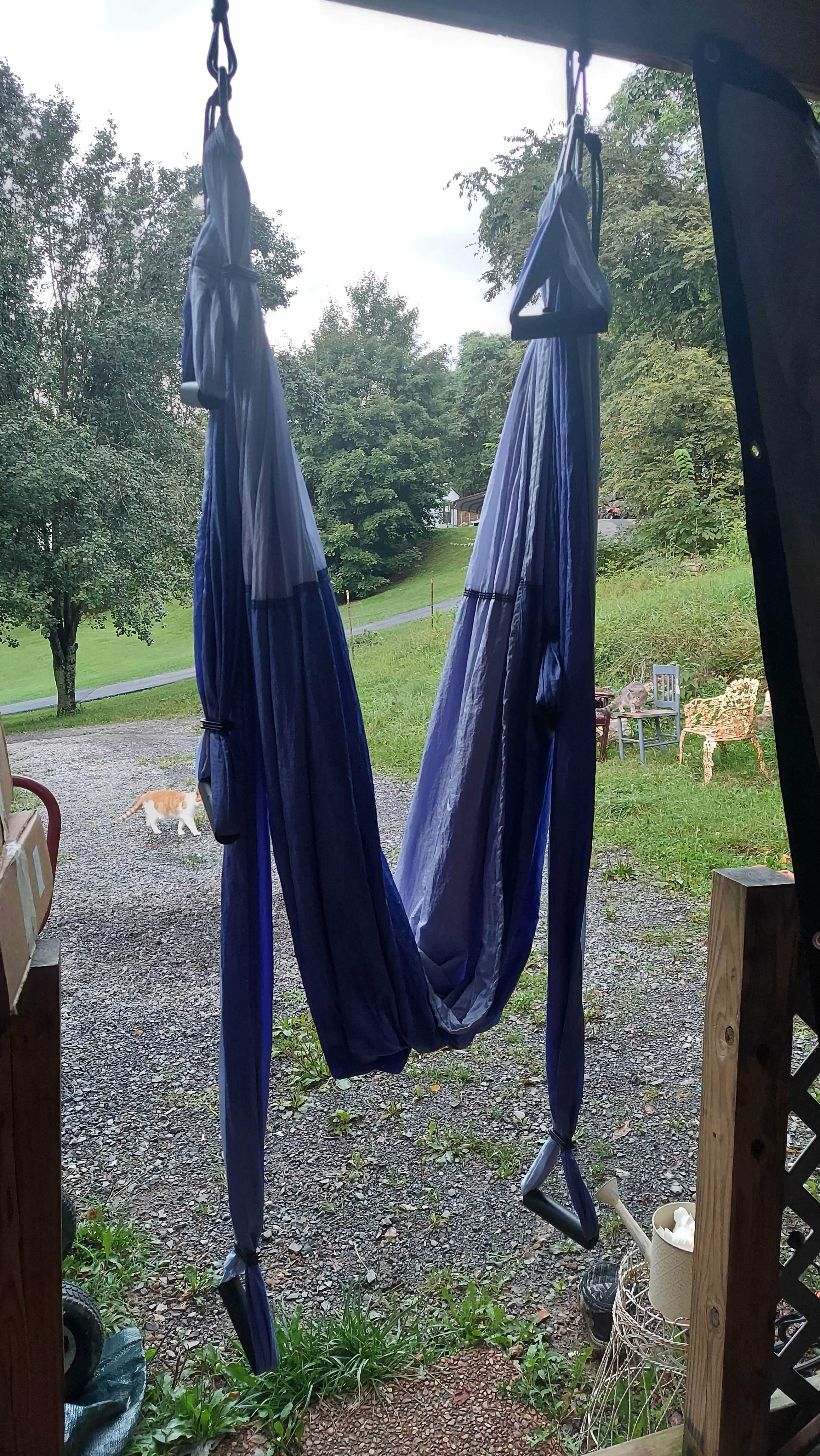 Victoria B.'s photo of camping with pets at Love, Wings, Roots near Troutdale, VA