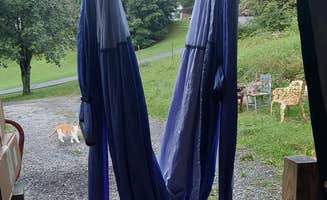 Victoria B.'s photo of camping with pets at Love, Wings, Roots near Sugar Grove, VA