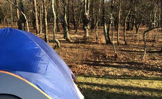 Seth K.'s photo at Big Meadows Campground — Shenandoah National Park near Shenandoah National Park
