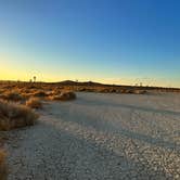 Review photo of East Mojave Camp by Sawyer P., August 13, 2023