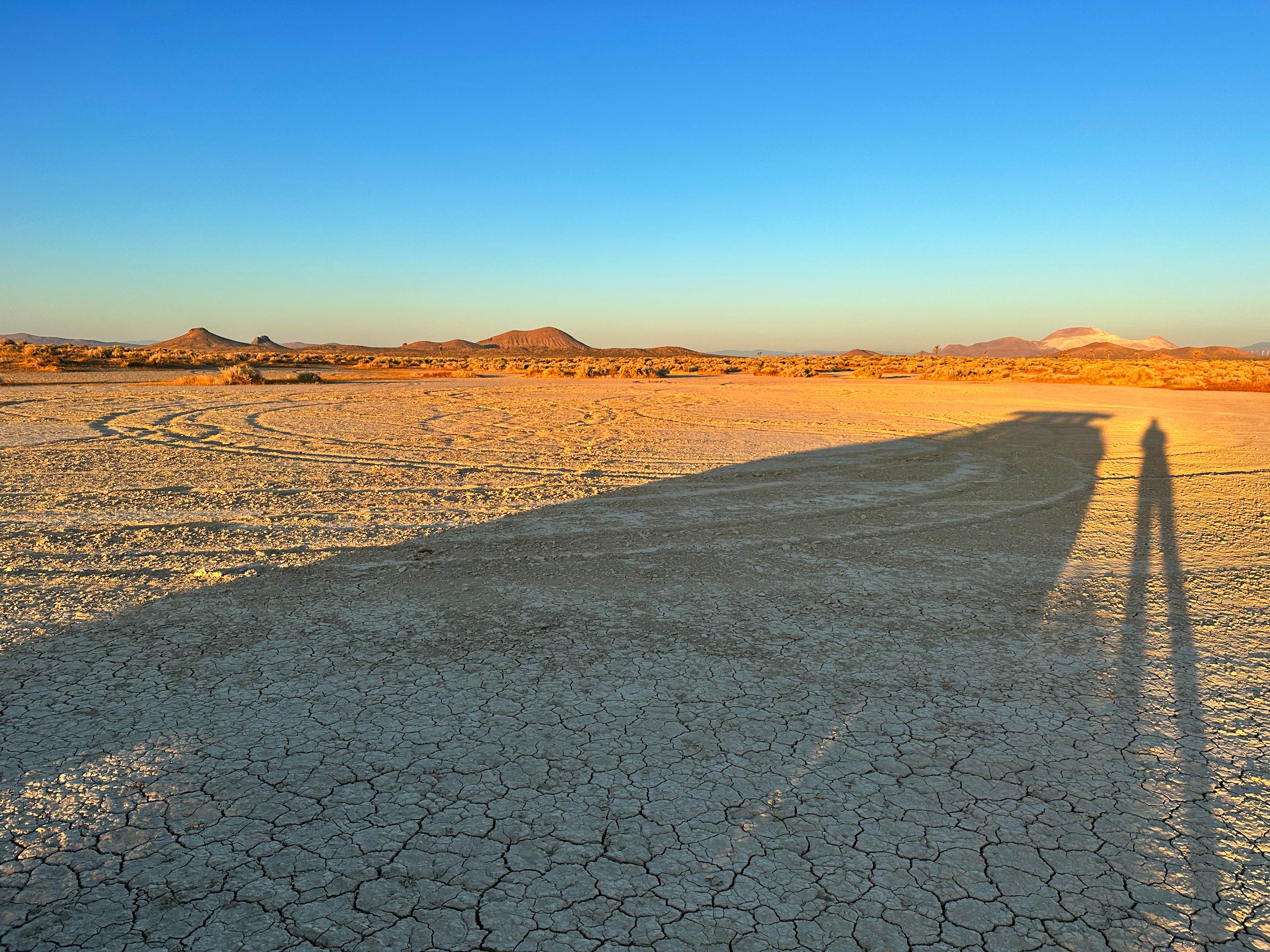 Camper submitted image from East Mojave Camp - 1