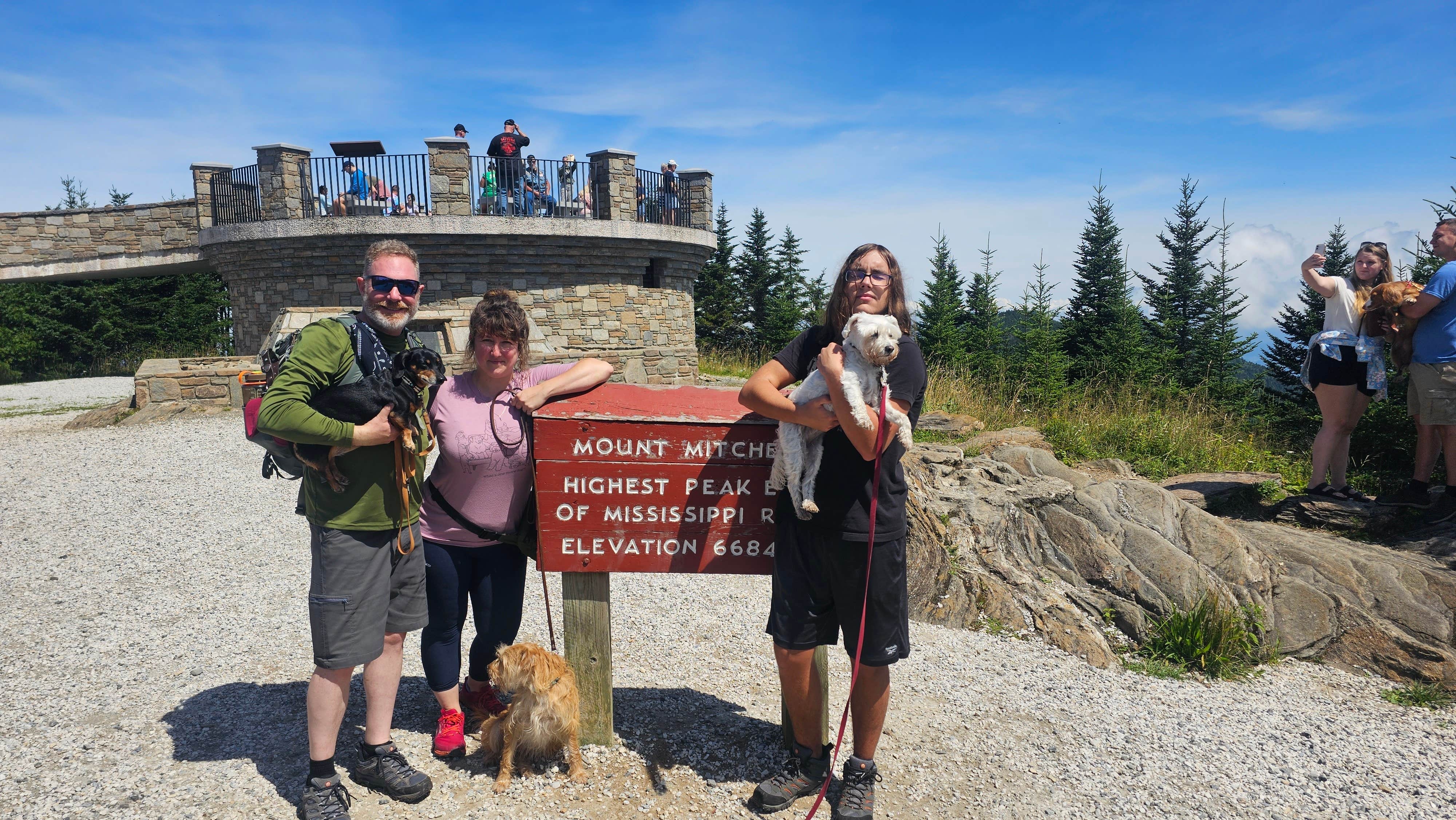 Katrin M.'s photo of camping with pets at Mount Mitchell State Park Campground near Barnardsville, NC
