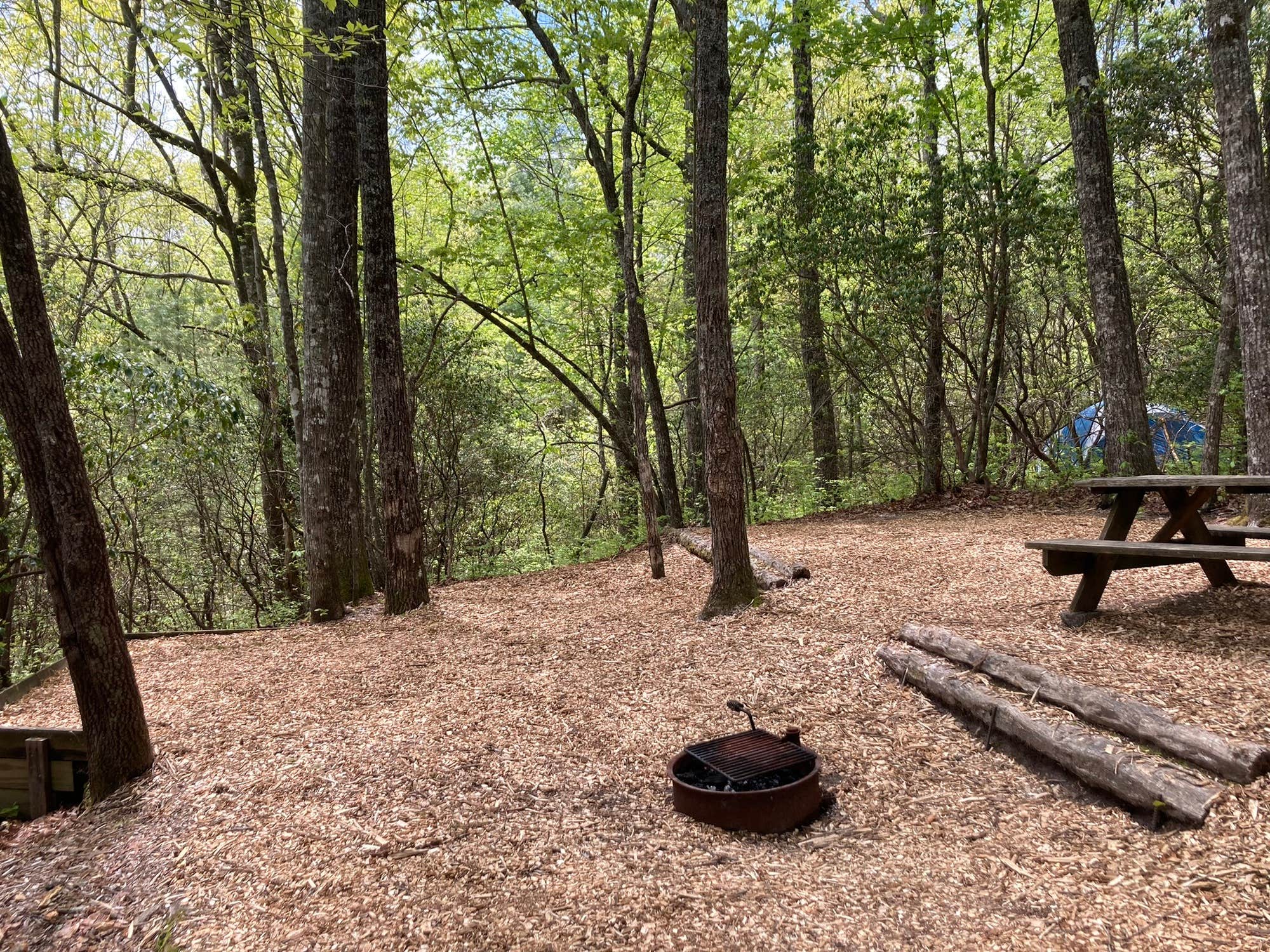 The Dyrt's photo at Ash Grove Mountain Cabins & Camping near Sunset, SC