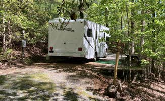 The Dyrt's photo at Ash Grove Mountain Cabins & Camping near Pisgah Forest, NC