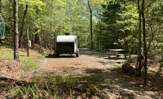 The Dyrt's photo at Ash Grove Mountain Cabins & Camping near Rosman, NC