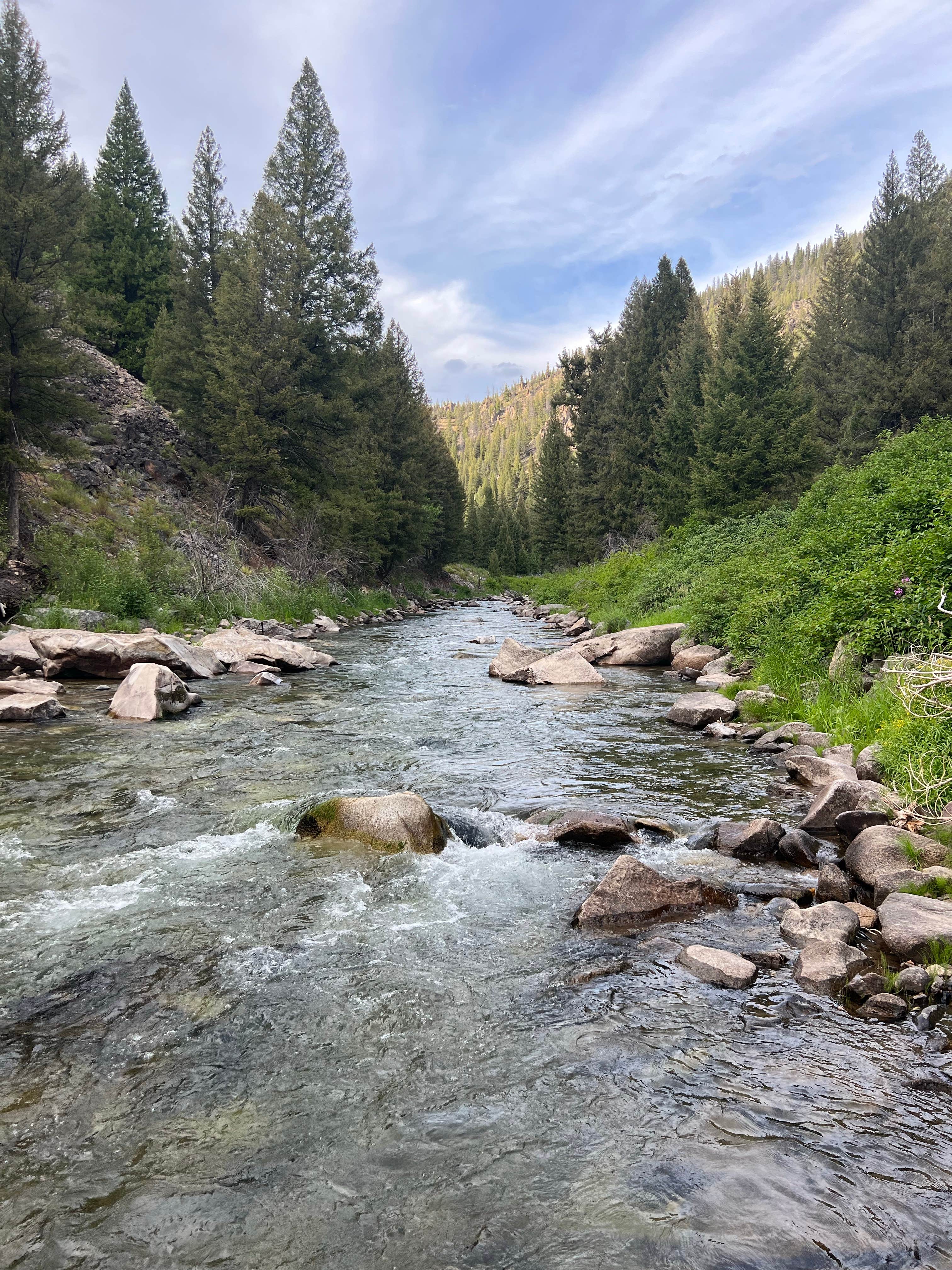 Camper-submitted photo at Flat Rock Campground near May, ID