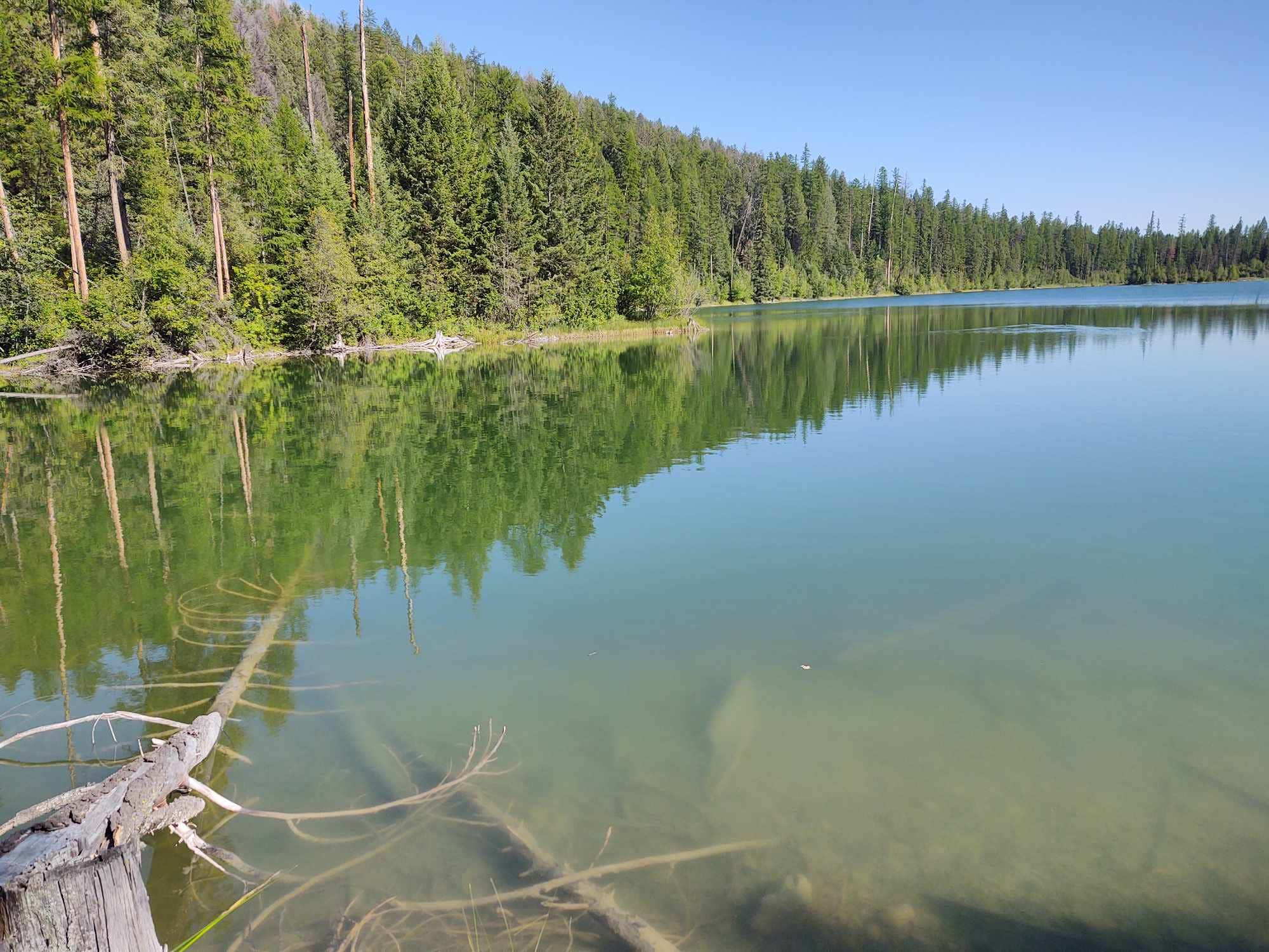Camper-submitted photo at Martin Lake near Eureka, MT