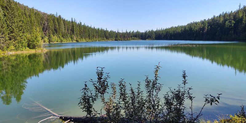 Camper submitted image from Martin Lake