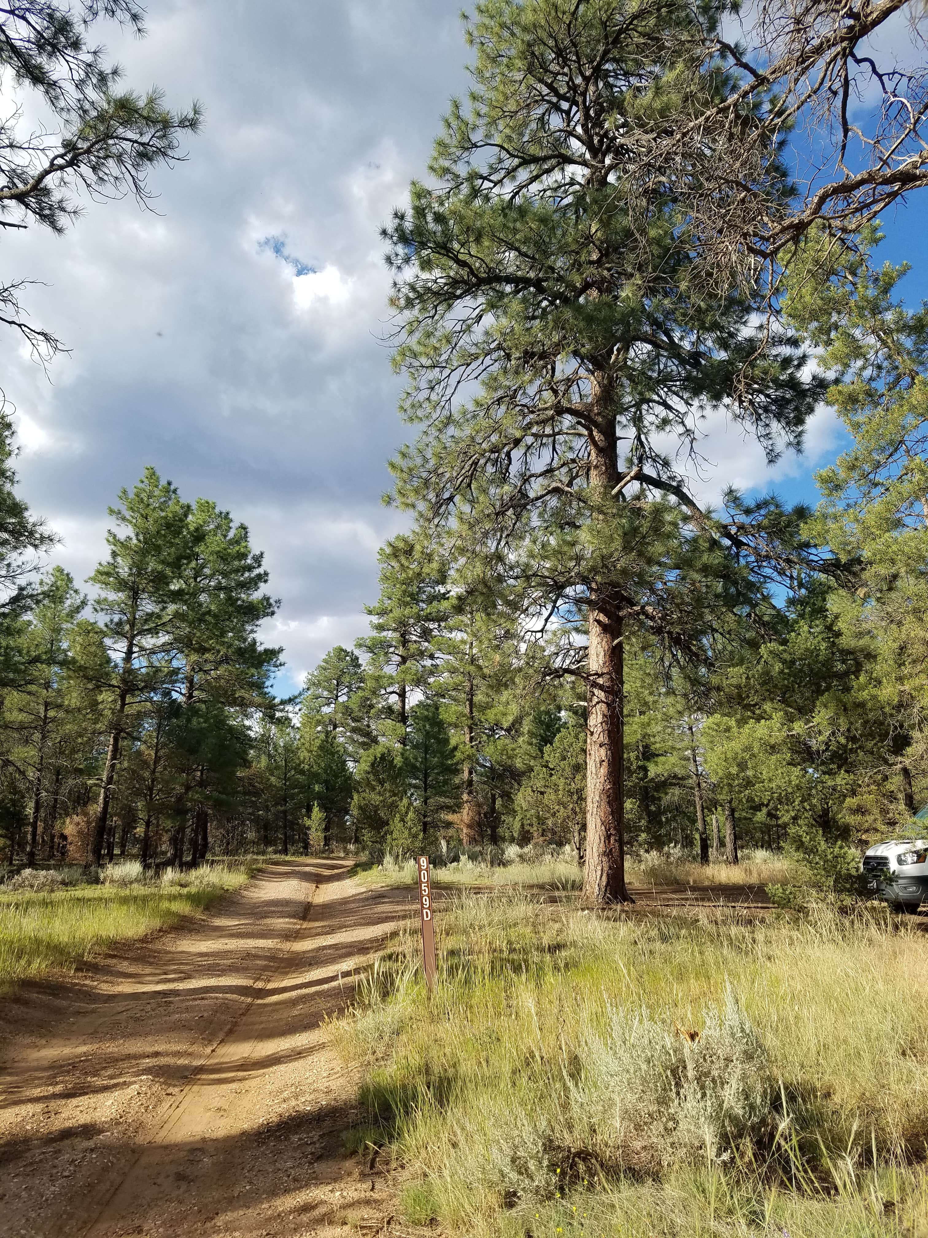 Camper submitted image from Tusayan Dispersed Camping FS Road 302 - 2