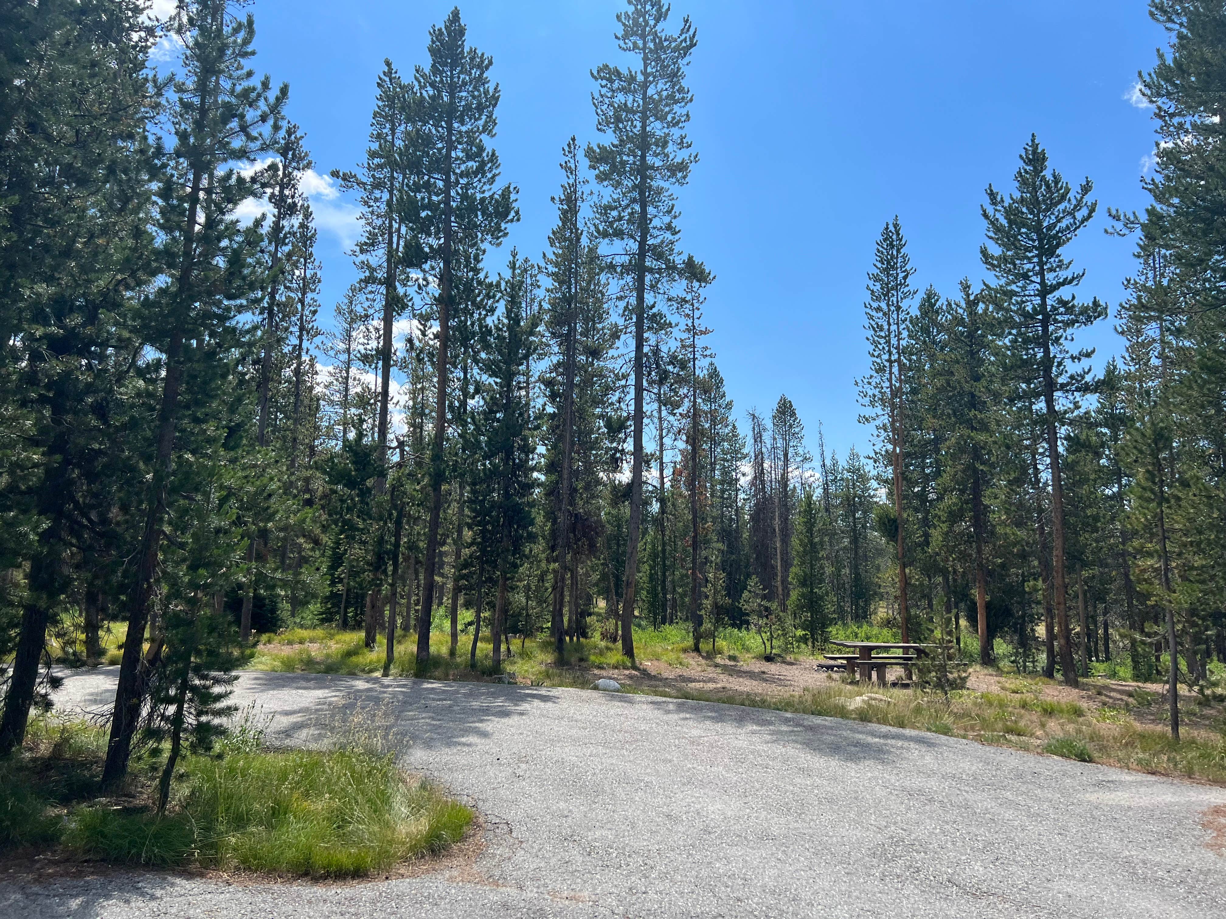 Camper-submitted photo at Bench Creek Campground near Stanley, ID