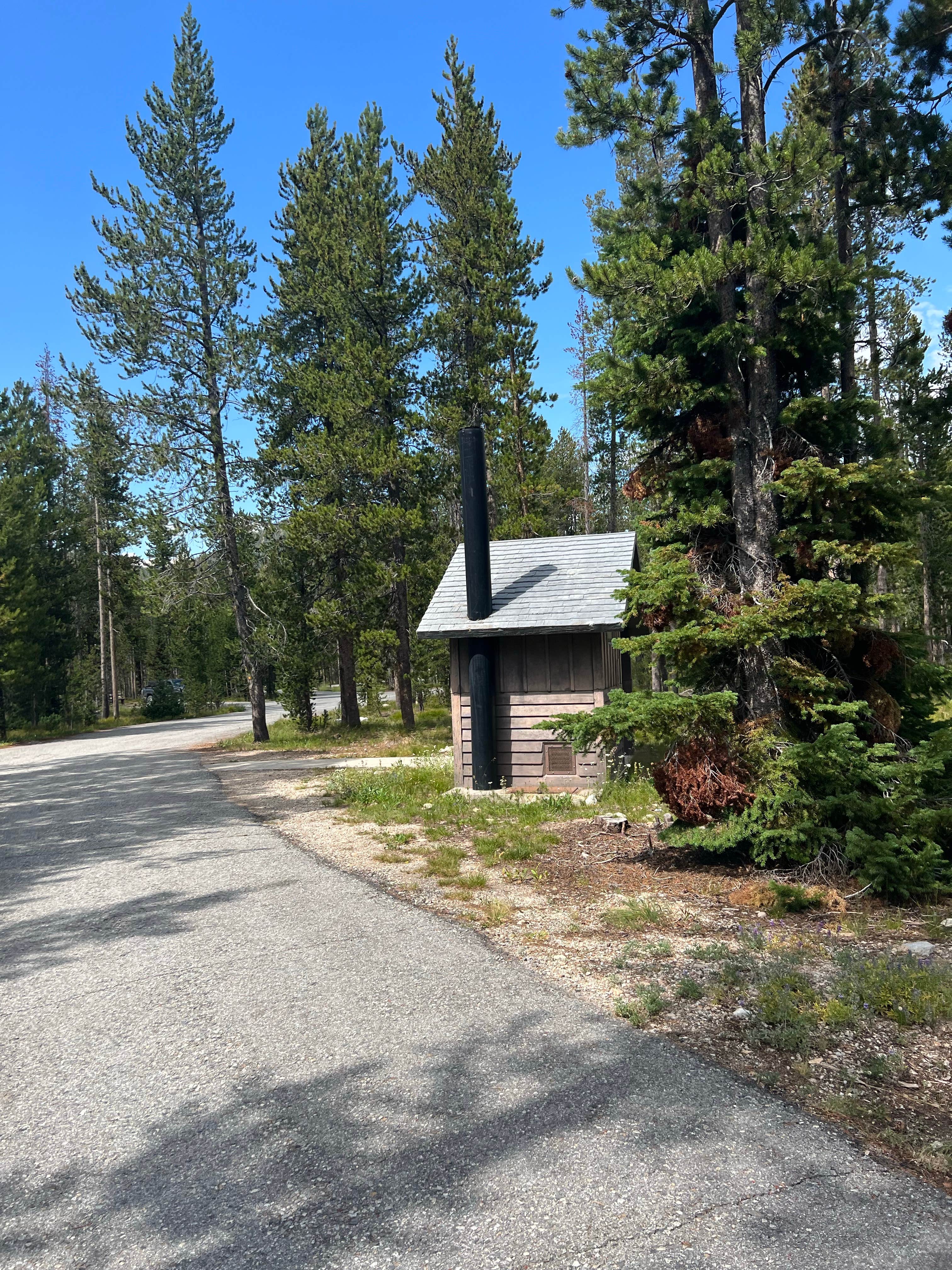 Camper-submitted photo at Bench Creek Campground near Stanley, ID
