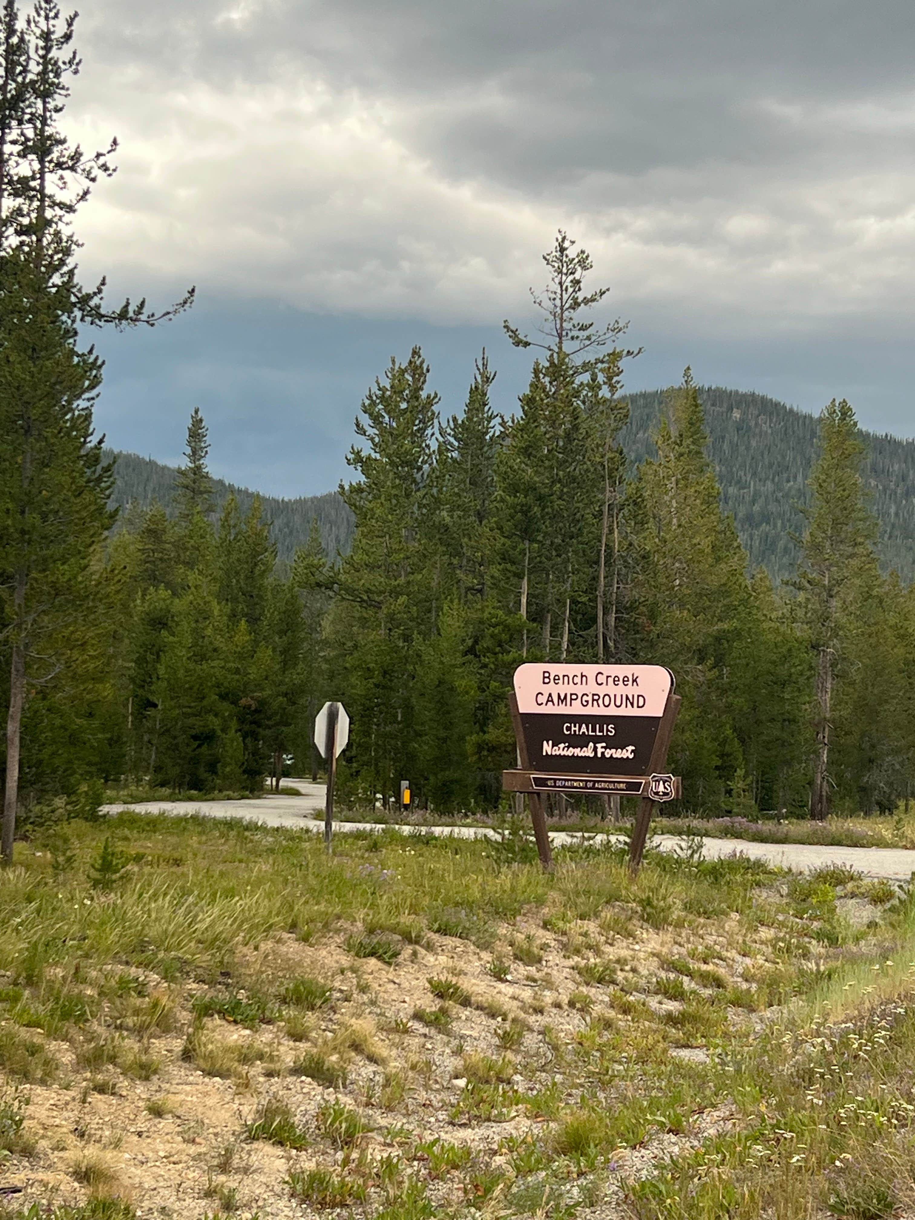 Camper-submitted photo at Bench Creek Campground near Stanley, ID