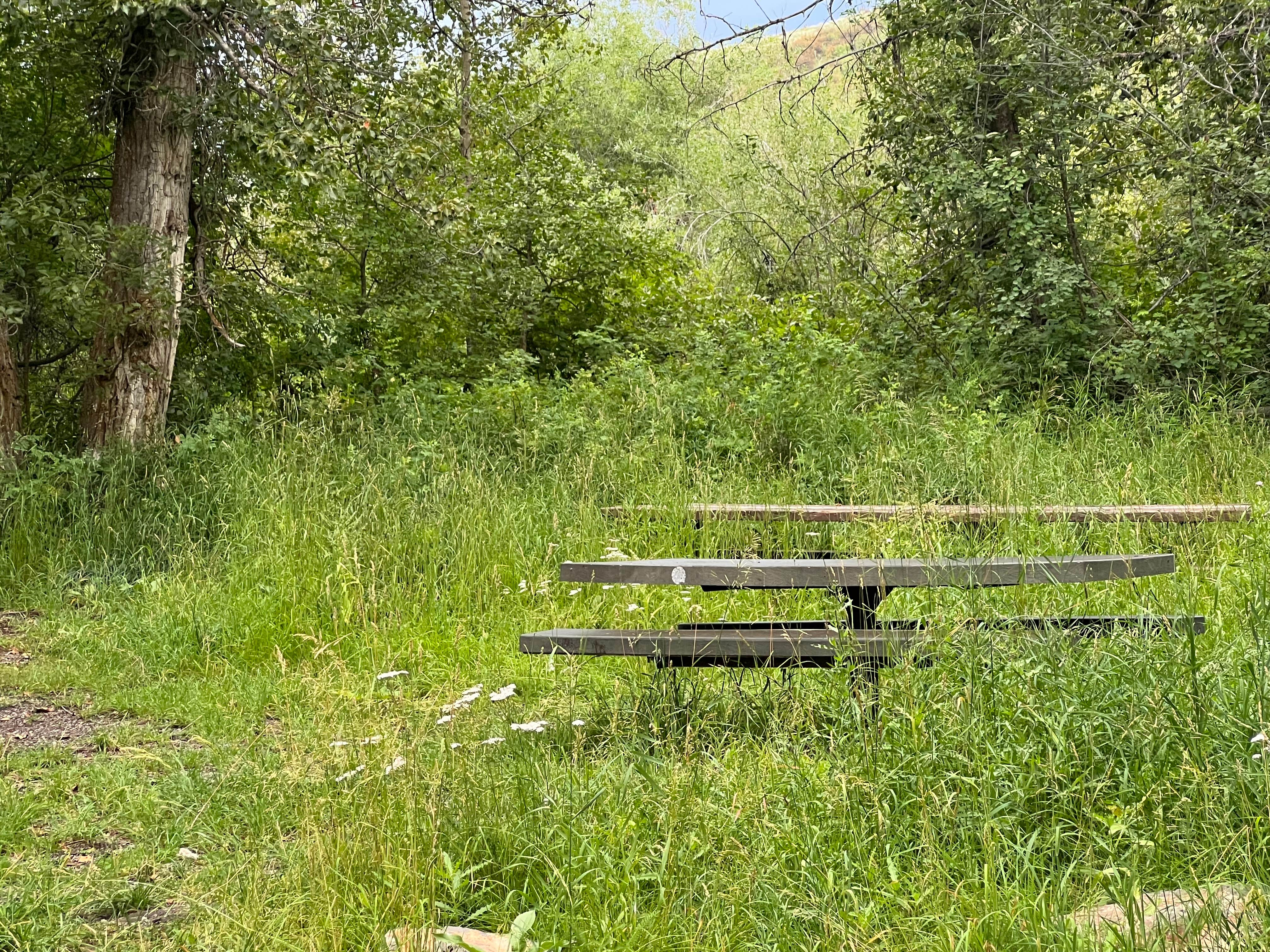 Camper-submitted photo at Tincup Campground near Grover, WY