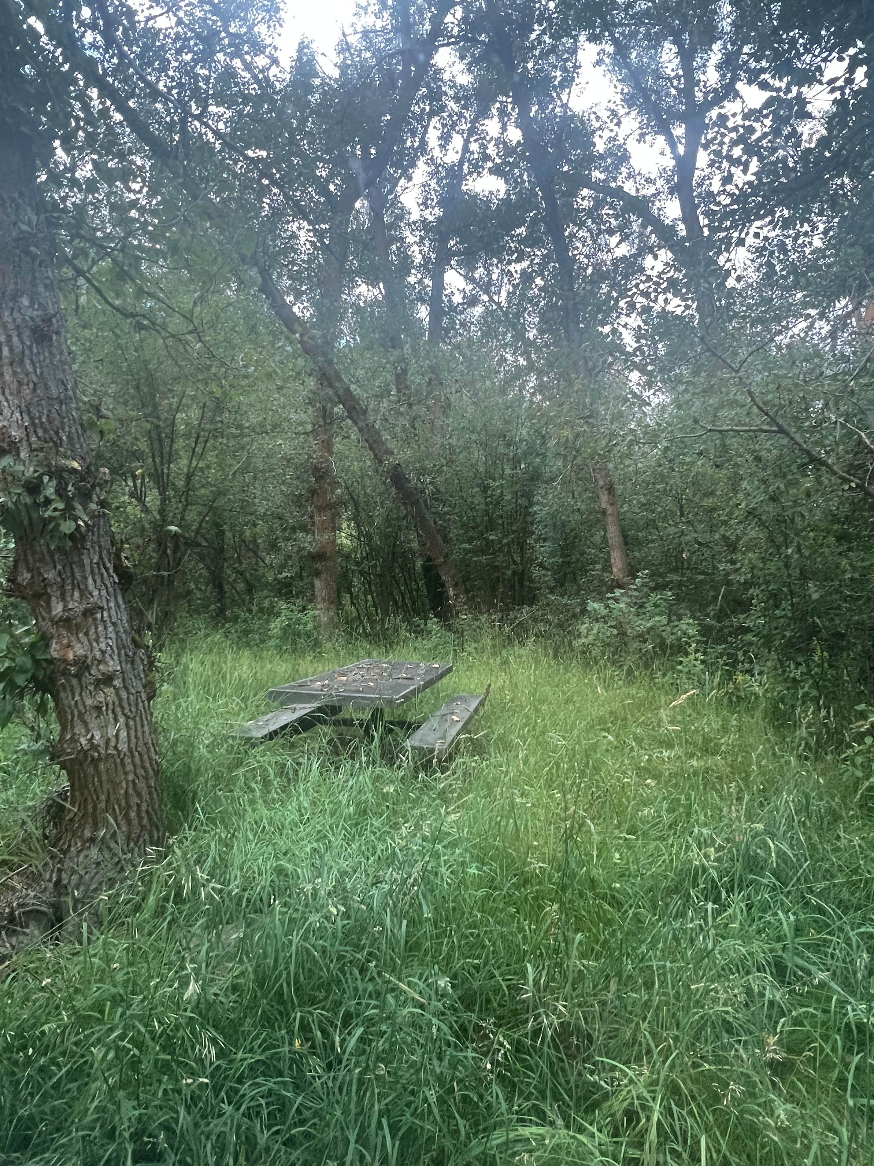 Camper-submitted photo at Tincup Campground near Grover, WY