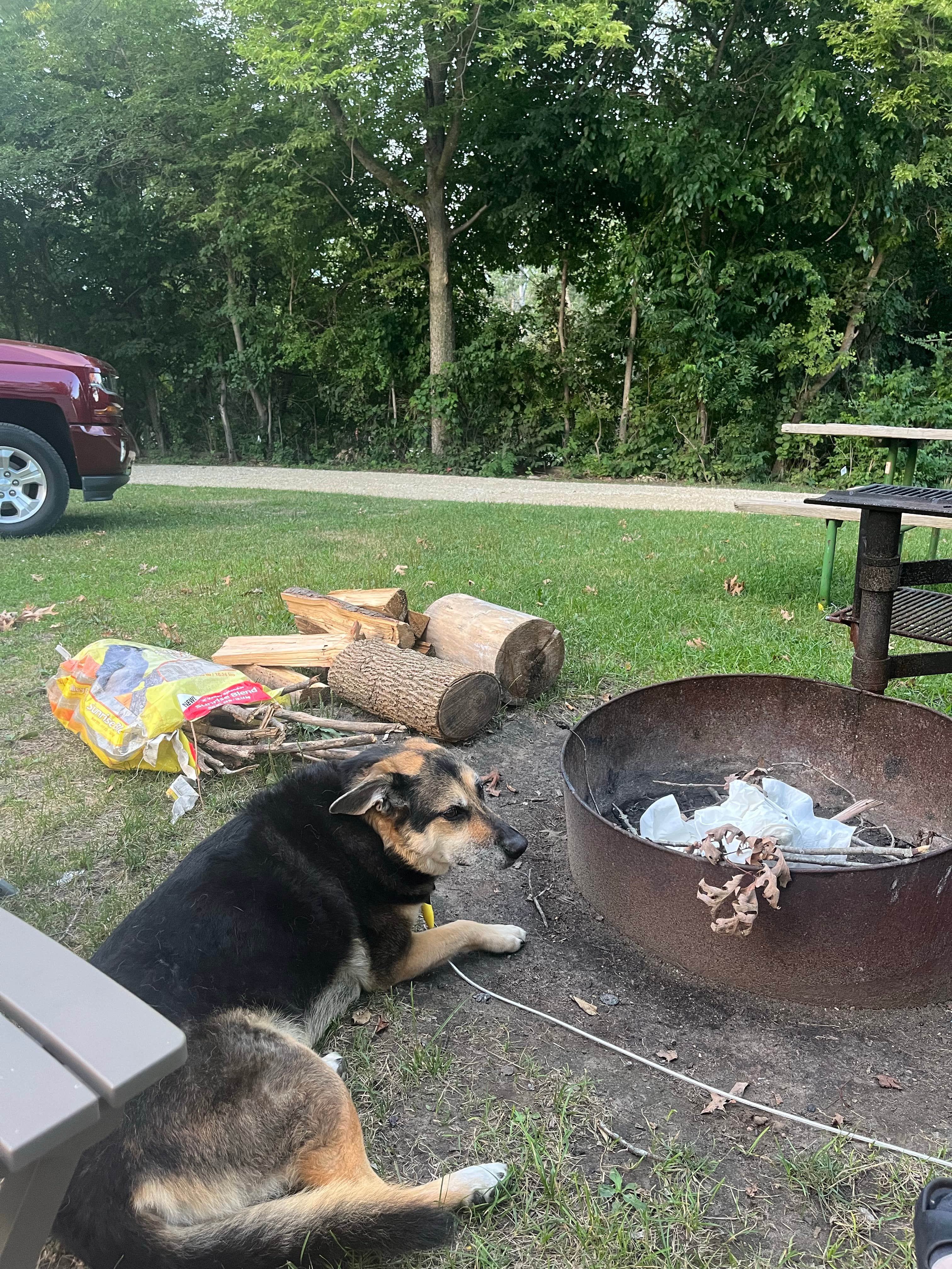 Hilary B.'s photo of camping with pets at Turtle Creek County Park near Elkader, IA