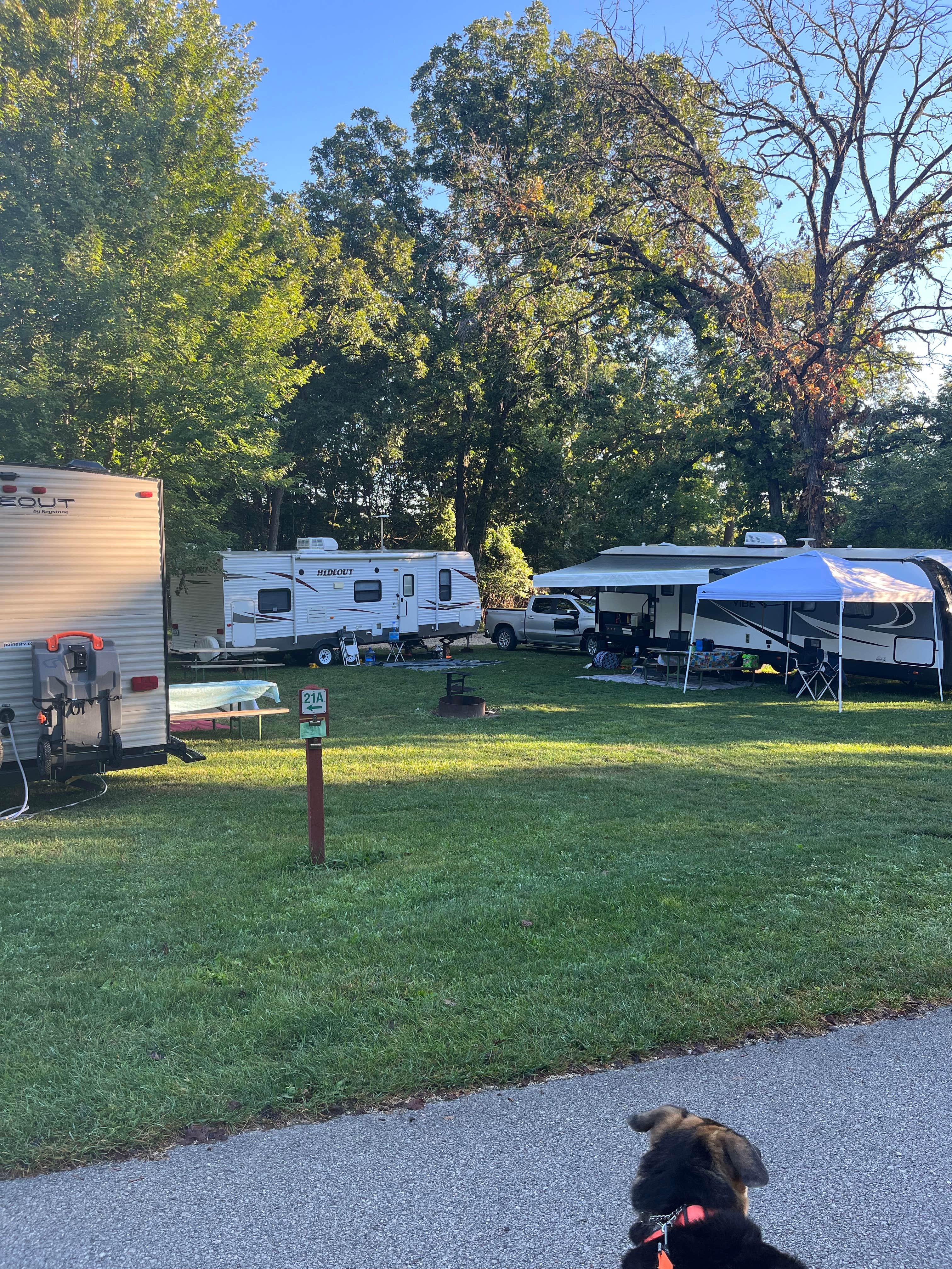 Camper submitted image from Turtle Creek County Park - 1