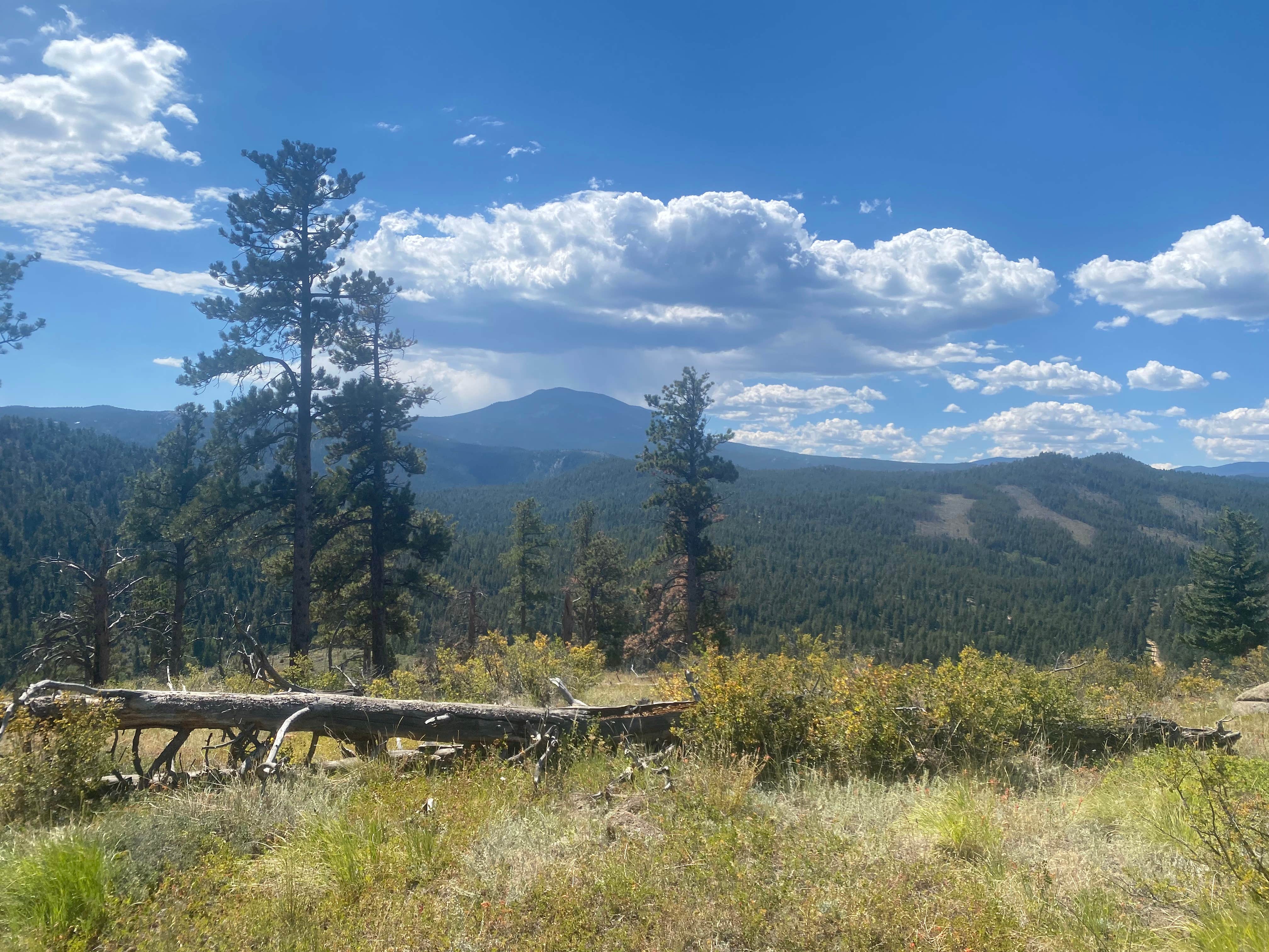 shawn L.'s photo of a dispersed camping area at Gross Reservoir Dispersed near Twin Lakes, CO
