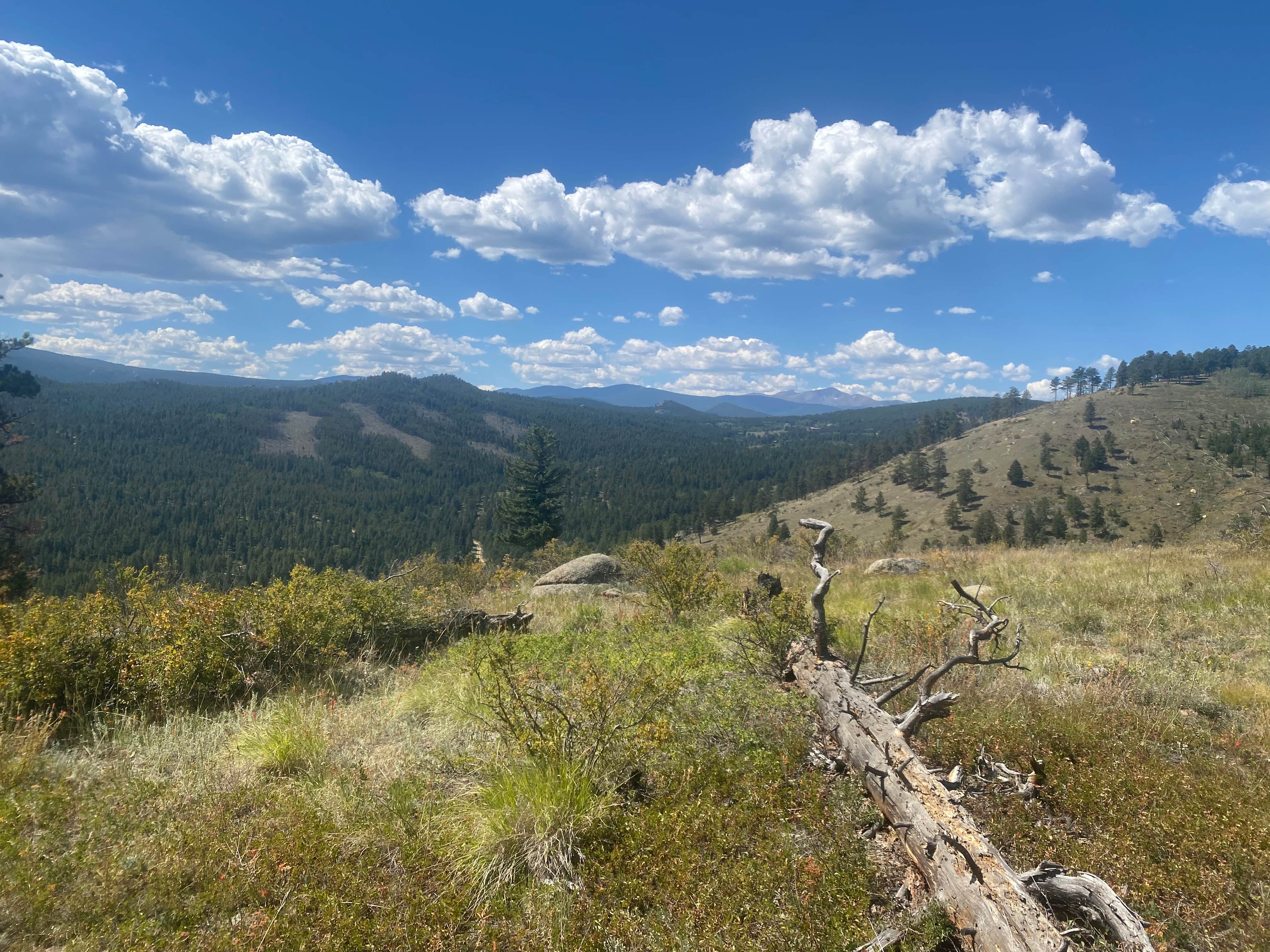 Camper-submitted photo at Gross Reservoir Dispersed near Watkins, CO