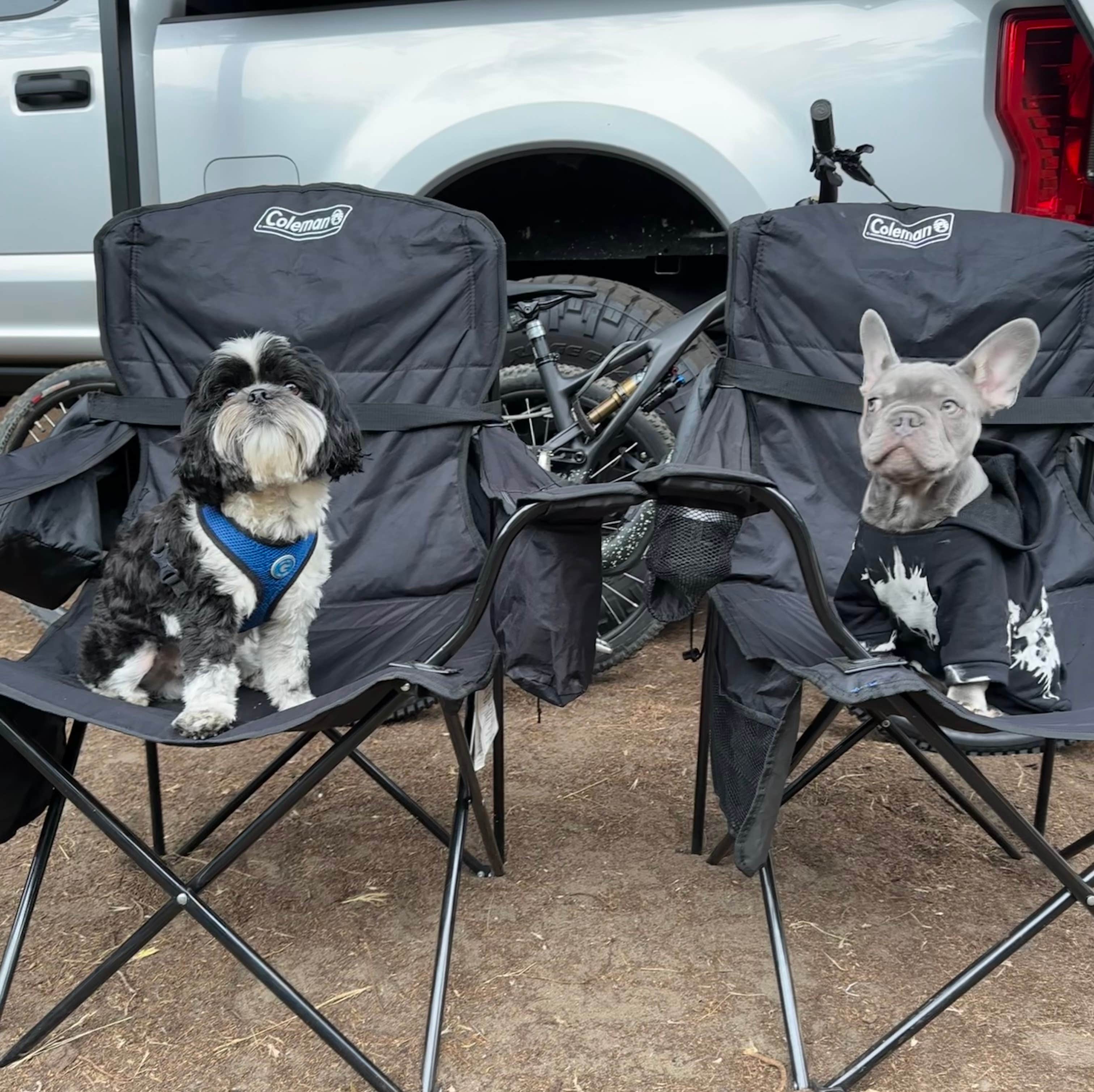 Travis C.'s photo of camping with pets at Wright's Beach Campground — Sonoma Coast State Park near Fulton, CA