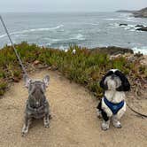 Review photo of Wright's Beach Campground — Sonoma Coast State Park by Travis C., August 14, 2023