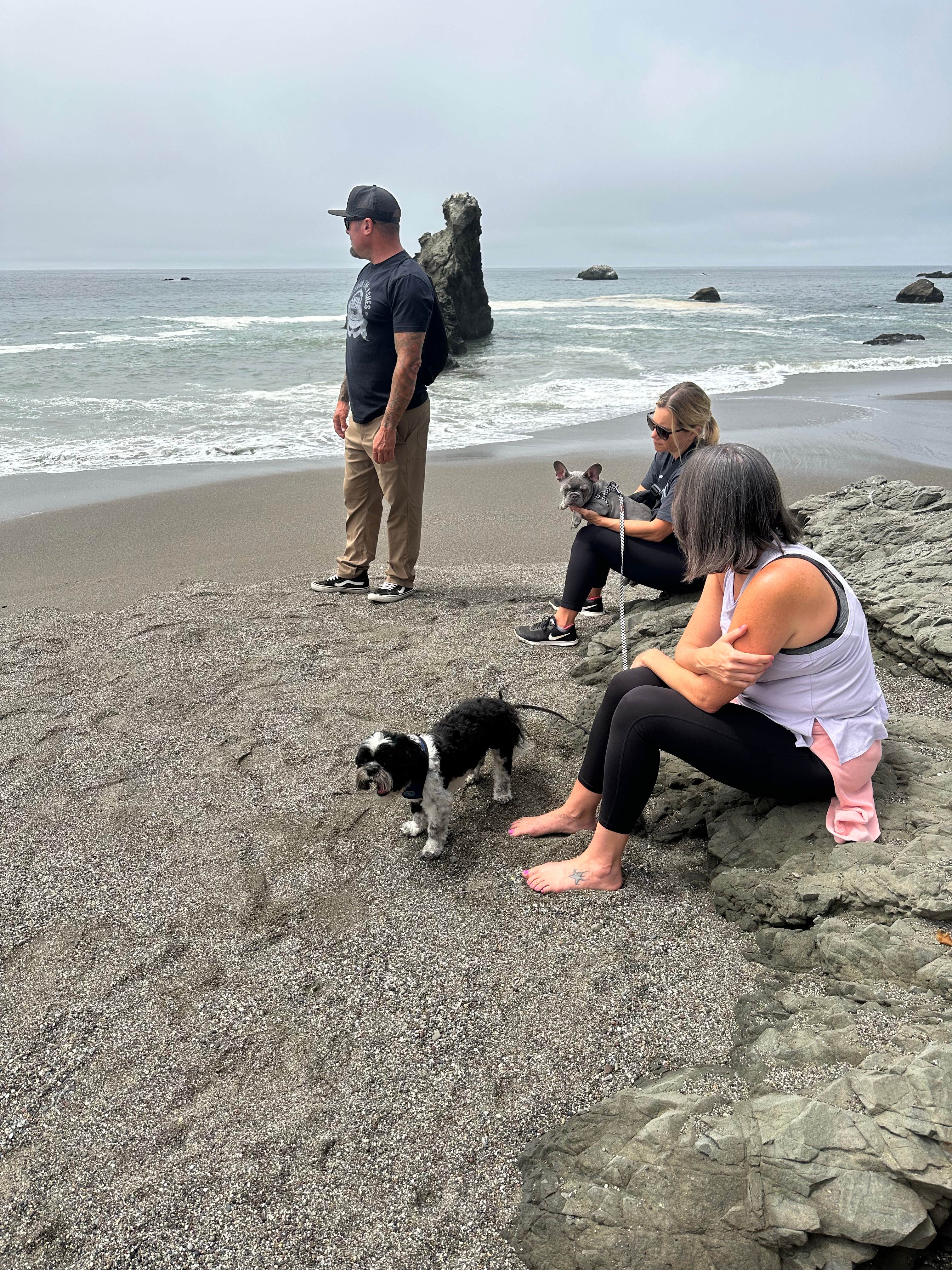 Travis C.'s photo of camping with pets at Wright's Beach Campground — Sonoma Coast State Park near Jenner, CA
