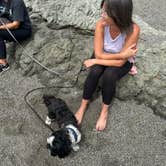 Review photo of Wright's Beach Campground — Sonoma Coast State Park by Travis C., August 14, 2023