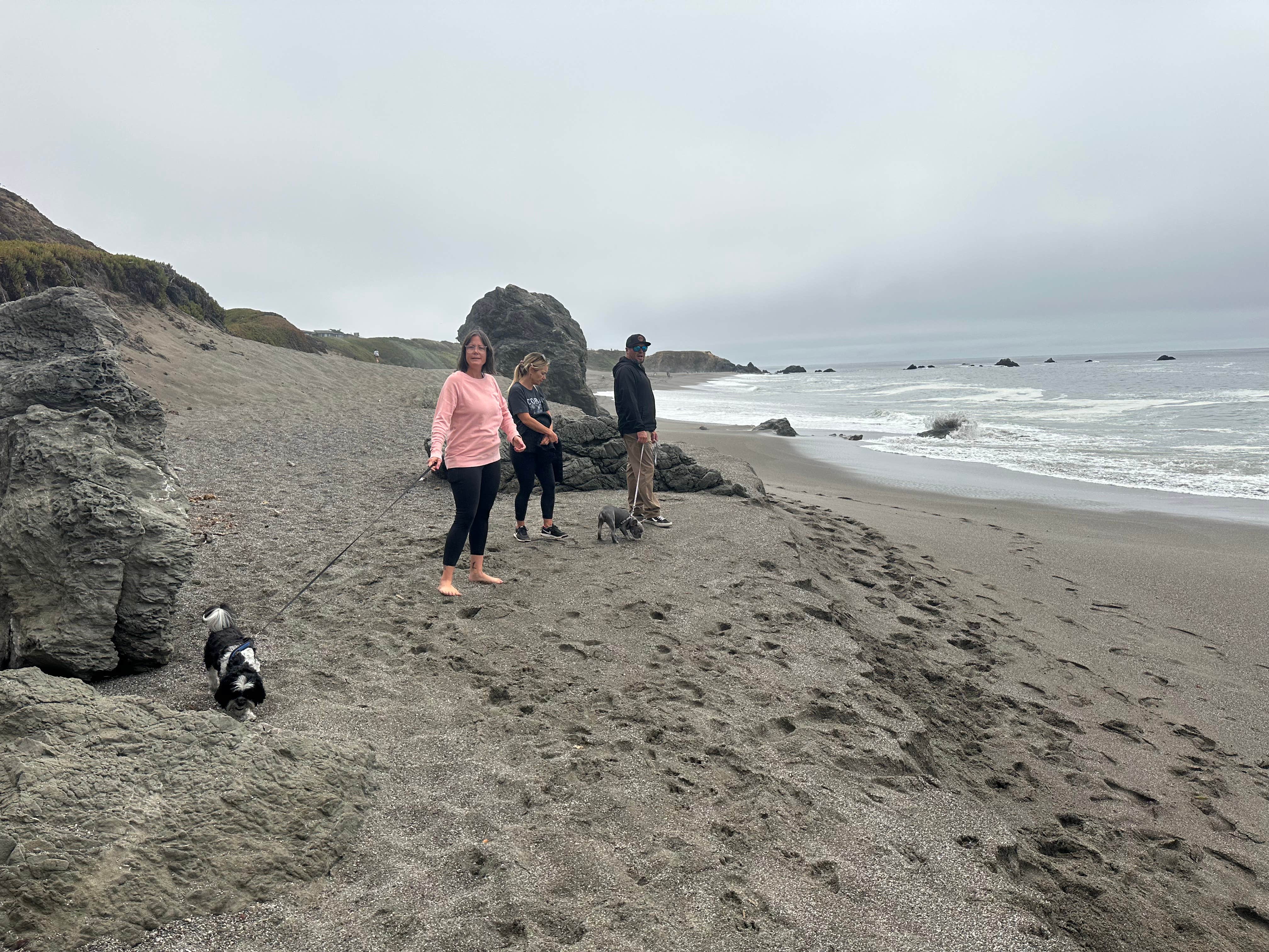 Travis C.'s photo of camping with pets at Wright's Beach Campground — Sonoma Coast State Park near Bodega Bay, CA